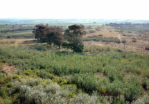 Antica Sicilia