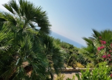 3-l'antica Sicilia